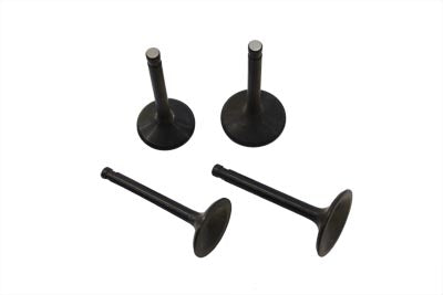 Nitrate Intake and Exhaust Valve Set - V-Twin Mfg.