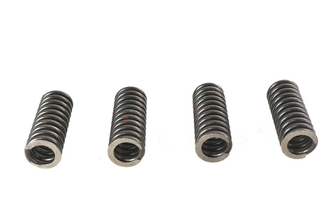 Valve Spring Set - V-Twin Mfg.