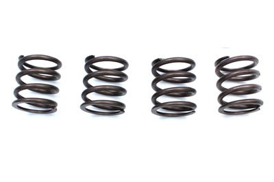 Kibblewhite Valve Spring Kit - V-Twin Mfg.