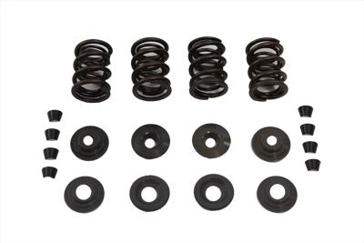 Valve Spring Kit - V-Twin Mfg.