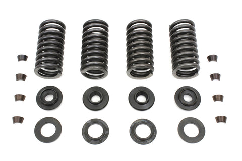Valve Spring Kit - V-Twin Mfg.