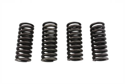 Valve Spring Set - V-Twin Mfg.