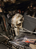 3D Punisher skull horn cover
