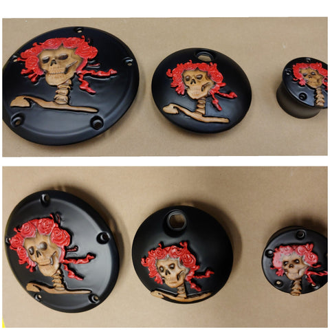 Grateful Dead Bertha derby cover, points and fuel door