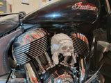 Indian skull warbonnet Horn cover