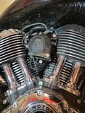 Indian crusader horn cover