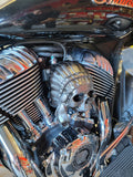 Indian skull warbonnet Horn cover