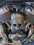 Indian skull warbonnet Horn cover