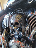 Indian skull warbonnet Horn cover
