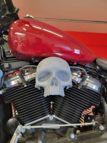 Ancient skull Coil Cover