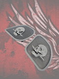 98 to 2024 Road Glide 3D skull and dagger speakers grill covers set