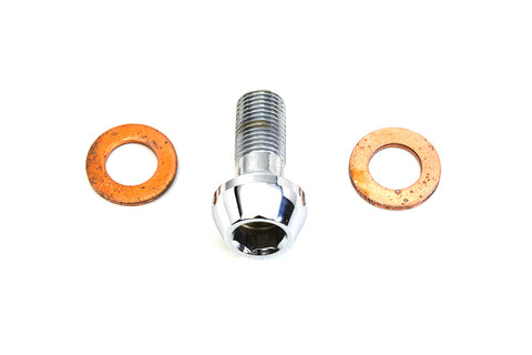 Brake Hose Banjo Bolt Allen Type 10mm - V-Twin Mfg.