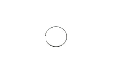Piston Ring for Rear Brake Caliper - V-Twin Mfg.