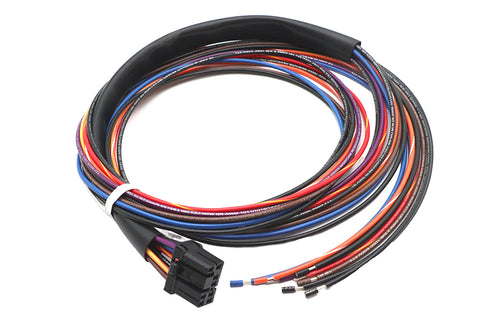 Deutsch Wiring Connector for Tail Lamp - V-Twin Mfg.