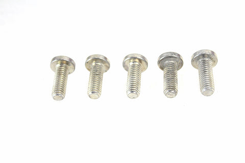 Zinc Front Brake Disc Bolt Set - V-Twin Mfg.
