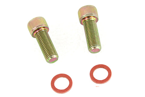 Damper Fork Tube Screw and Washer Kit Zinc Plated - V-Twin Mfg.