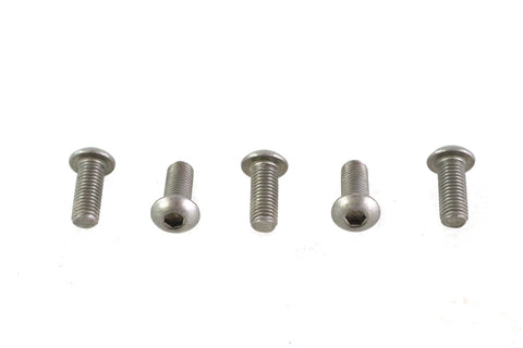 Allen Button Head Screws Stainless Steel 1/4-24 X 5/8 inch - V-Twin Mfg.