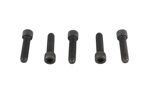 1/4 inch-20 x 1/2 inch Allen Socket Cap Screw Black - V-Twin Mfg.