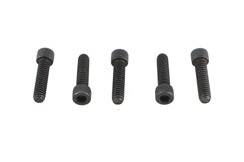 1/4 inch-20 X 1 inch Allen Socket Cap Screw Black - V-Twin Mfg.