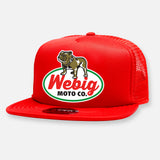 BIG DOG FLAT BILL HAT