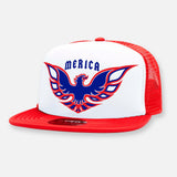 PARTY BIRD FLAT BILL HAT