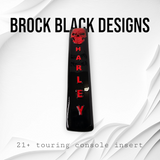 21+ skull flag console insert