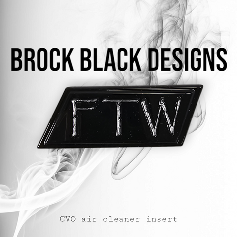 117 or 121  air cleaner insert 3D Feel the wind FTW