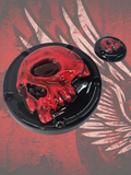 Harley Davidson derby cover and point covers of twisted red skull