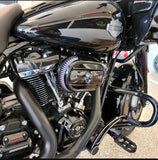 114 & 117 air cleaner insert 3D ancient skull