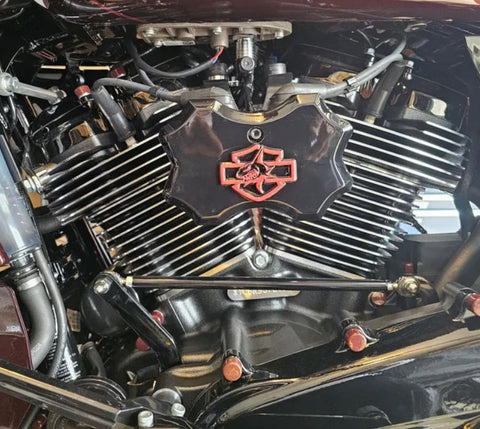 18+ Shark themed Coil Cover