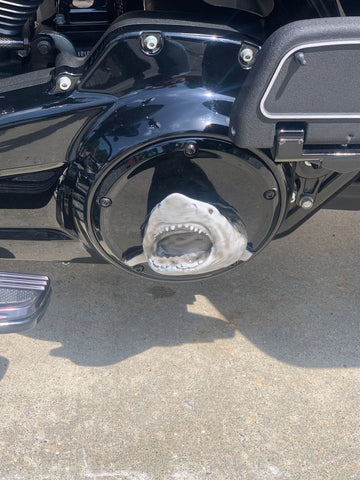 3D Shark derby cover