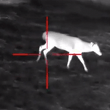 Infrared Night Vision Scope 4.5X with Low Light CMOS