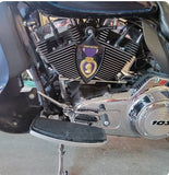 3D Purple Heart horn cover