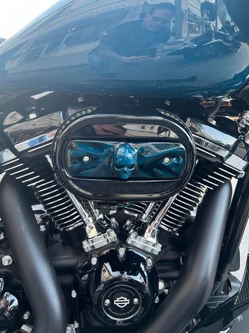 114 & 117 air cleaner insert 3D ancient skull