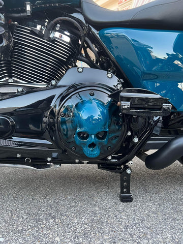 3D Ancient Skull derby and points cover