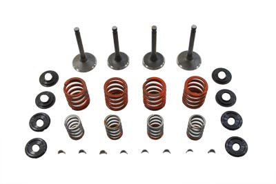 Nitrate Valve and Spring Kit - V-Twin Mfg.