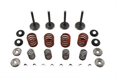 Nitrate Valve and Spring Kit - V-Twin Mfg.